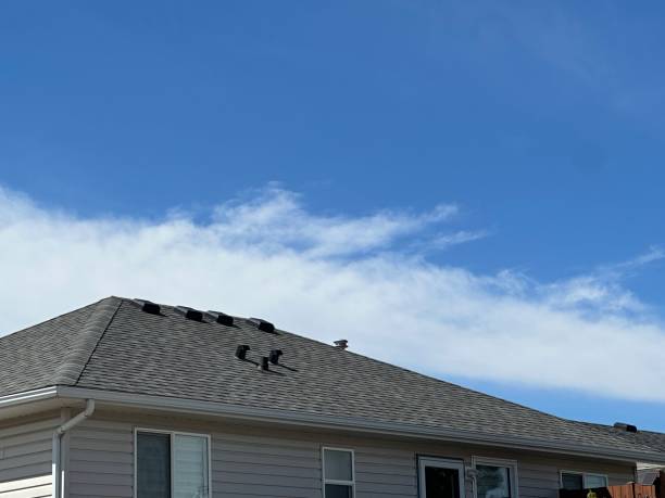 Best Emergency Roof Repair Services  in Bolivar, OH